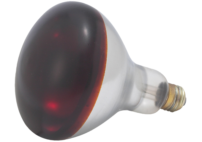 Bulb for EHL-2, Red, 250W | White Stone